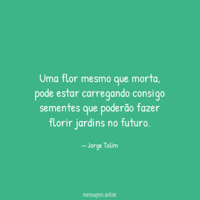 Uma flor mesmo que morta