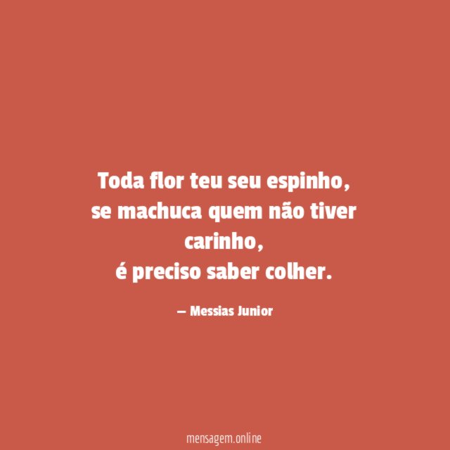 Toda flor teu seu espinho