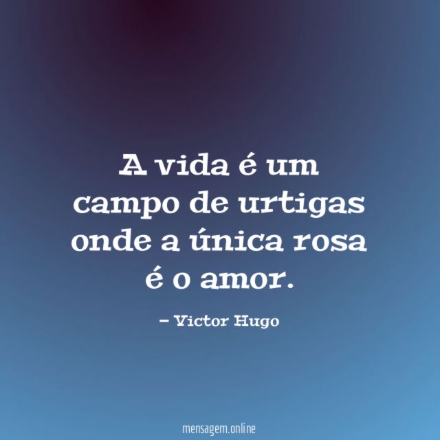 A vida é um campo de urtigas onde a única rosa é o amor