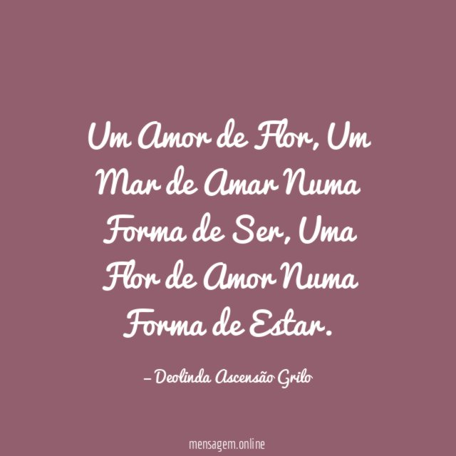 Um Amor de Flor