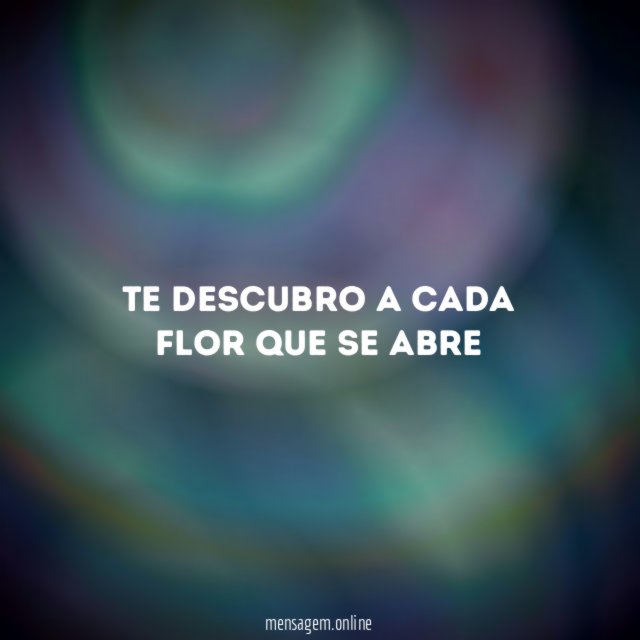 Te descubro a cada flor que se abre
