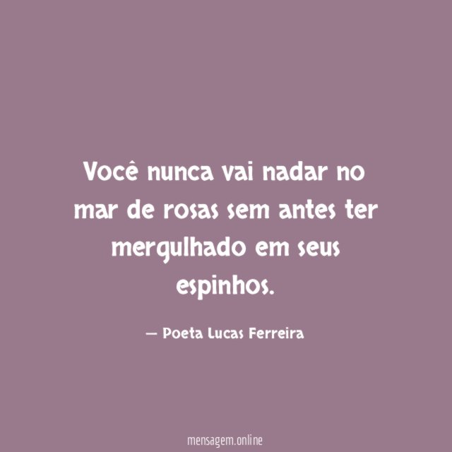 Você nunca vai nadar no mar de rosas
