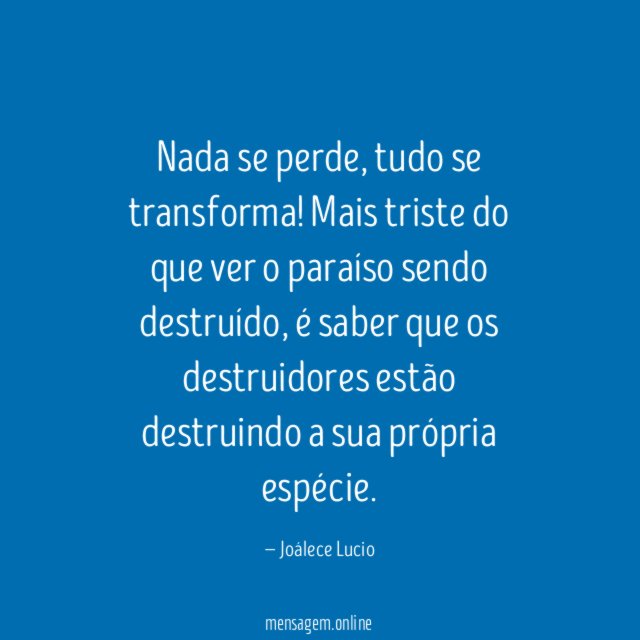 Nada se perde