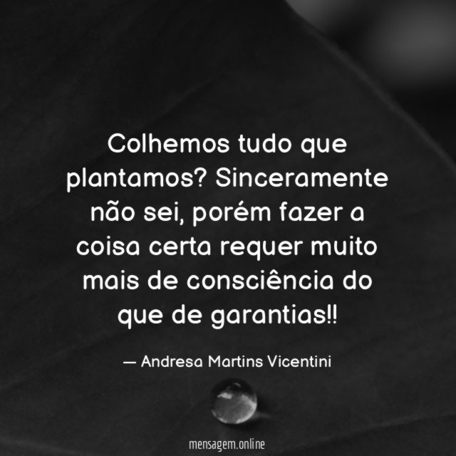 Colhemos tudo que plantamos