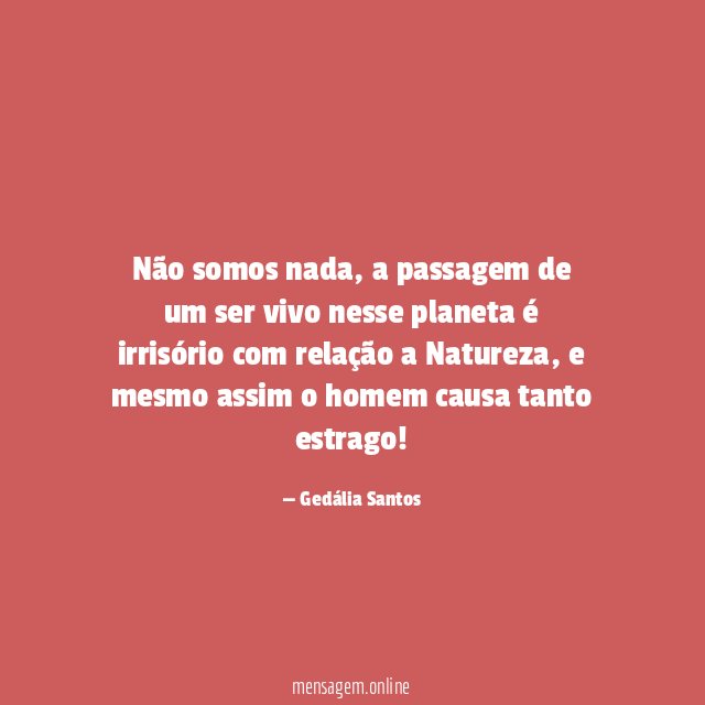 Não somos nada