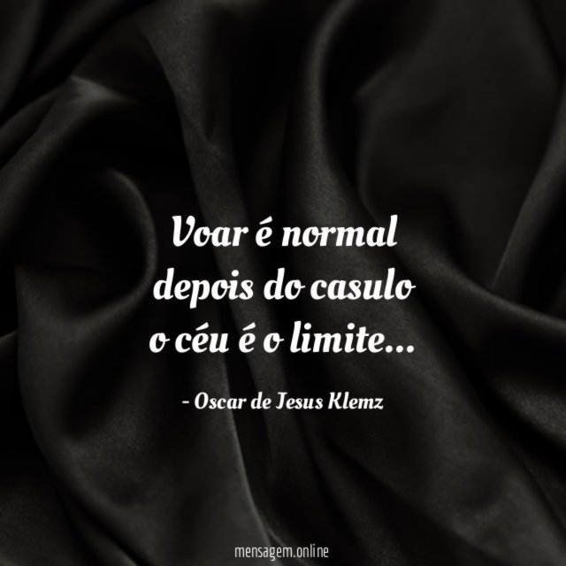 Voar é normal depois do casulo o céu é o limite