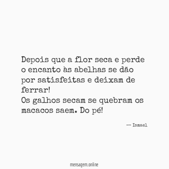 Depois que a flor seca e perde