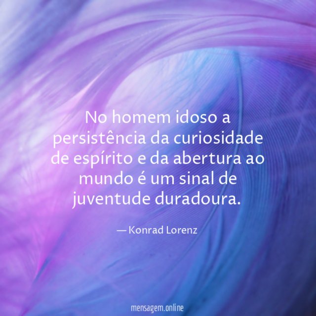 No homem idoso a persistência da curiosidade de