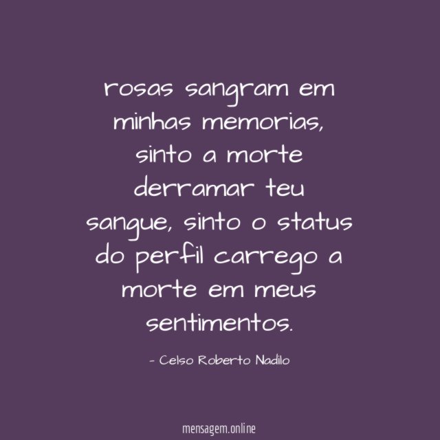 rosas sangram em minhas memorias