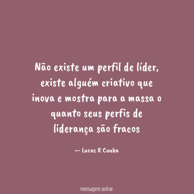 Não existe um perfil de líder