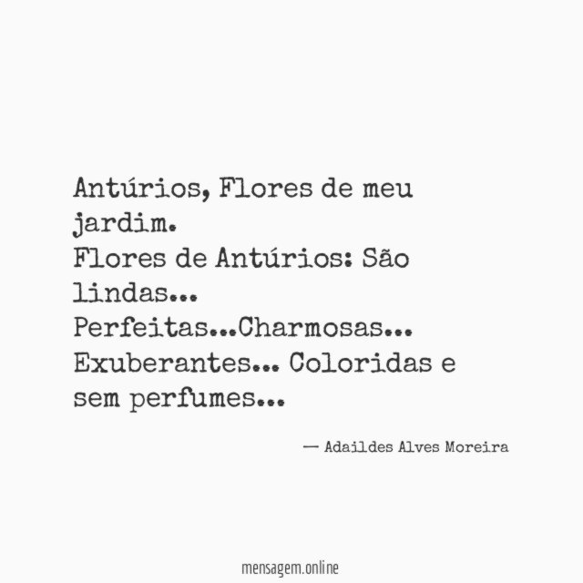Antúrios, Flores de meu jardim.