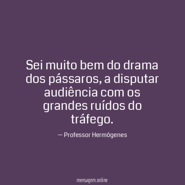Sei muito bem do drama dos pássaros