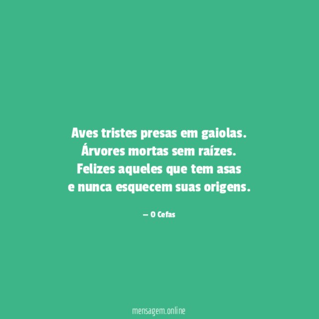 Aves tristes presas em gaiolas