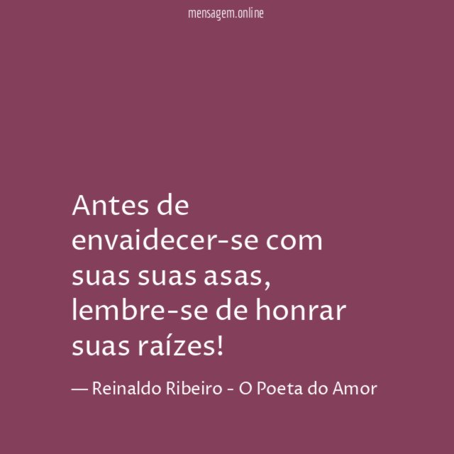 Antes de envaidecer-se com suas suas asas