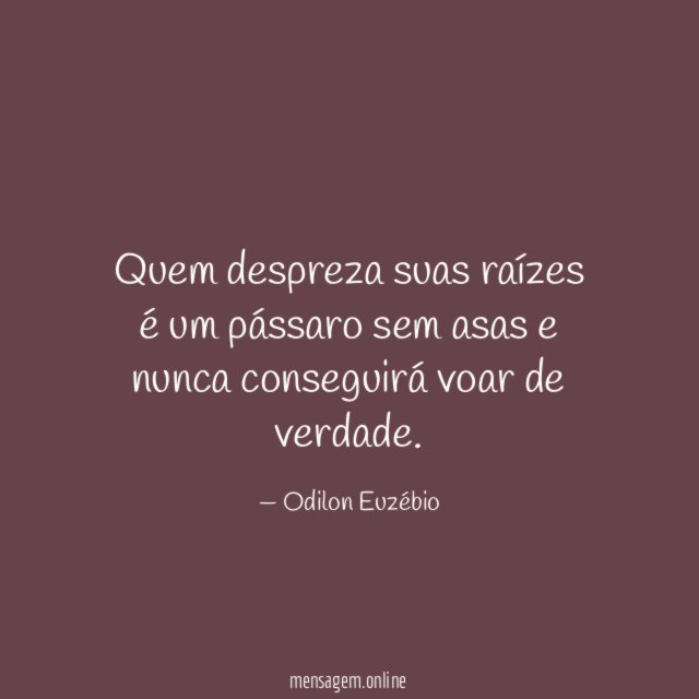 Quem despreza suas raízes é um pássaro sem