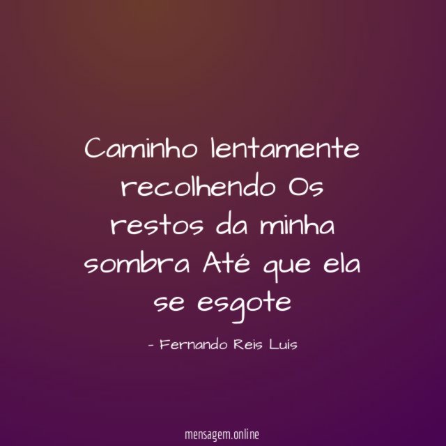 Caminho lentamente recolhendo Os restos da minha sombra Até que