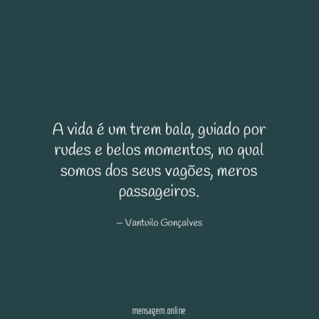 A vida é um trem bala