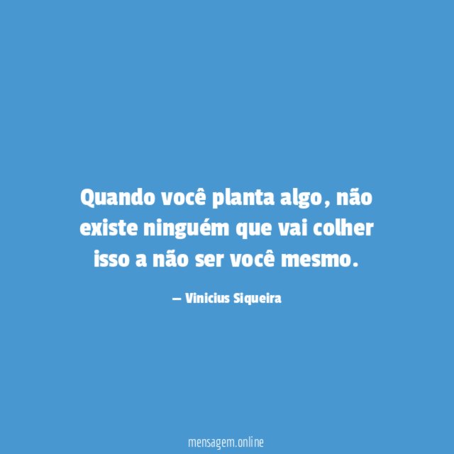 Quando você planta algo