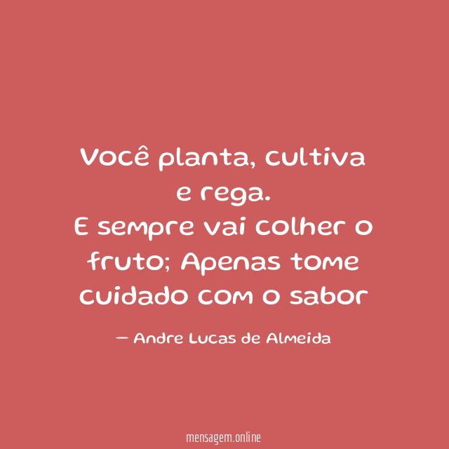 Você planta