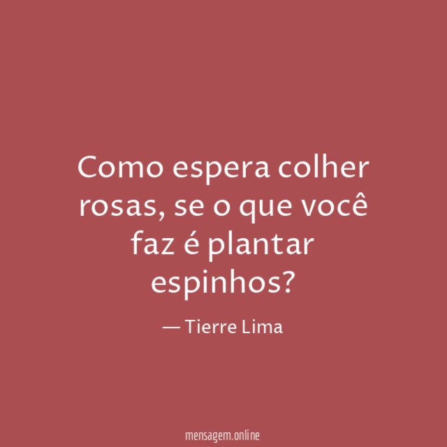 Como espera colher rosas