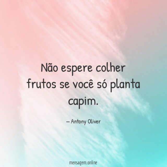 Não espere colher frutos se você só planta capim