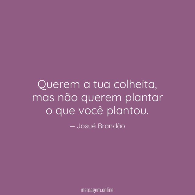 Querem a tua colheita