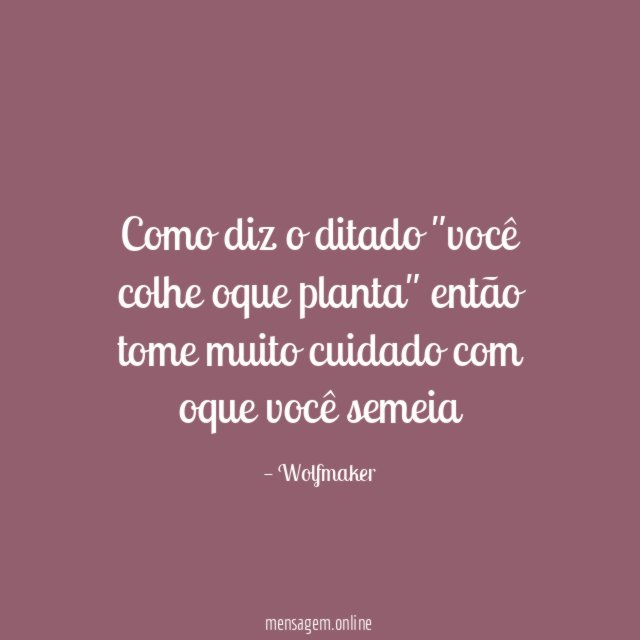 Como diz o ditado "você colhe oque planta"