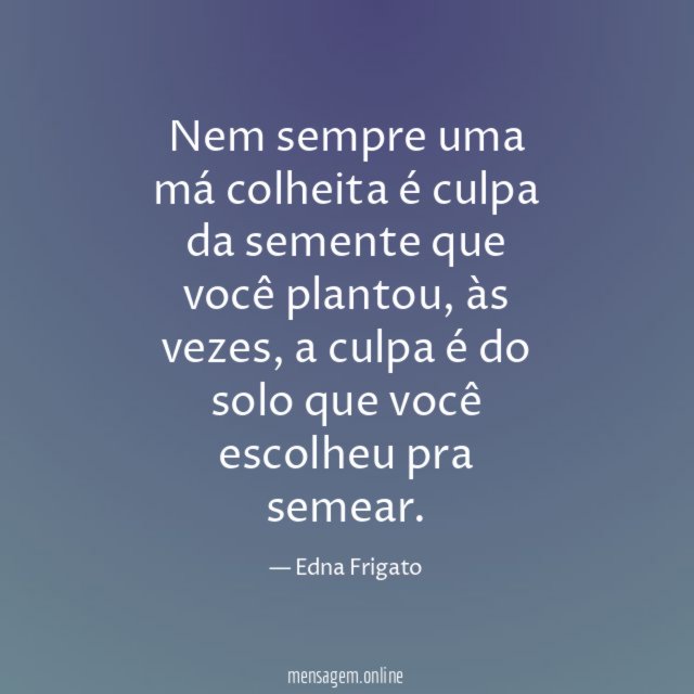 Nem sempre uma má colheita é culpa da semente que você plantou