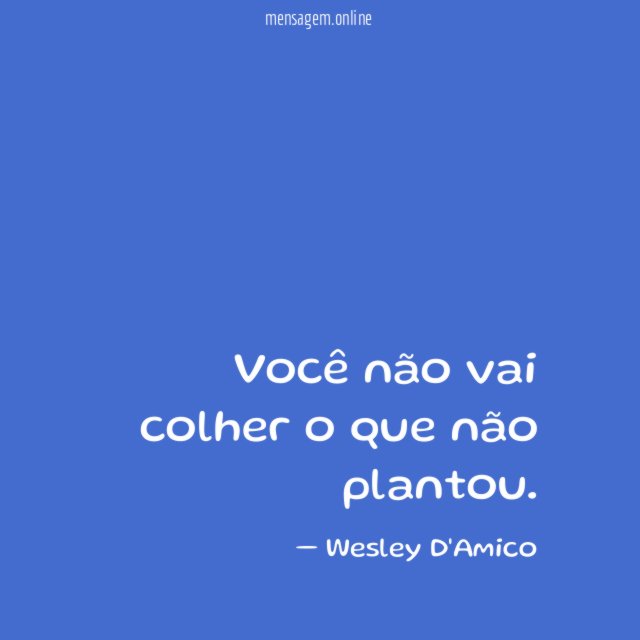 Você não vai colher o que não plantou