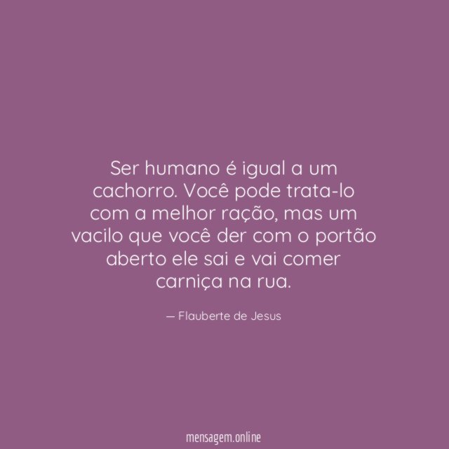 Ser humano é igual a um cachorro
