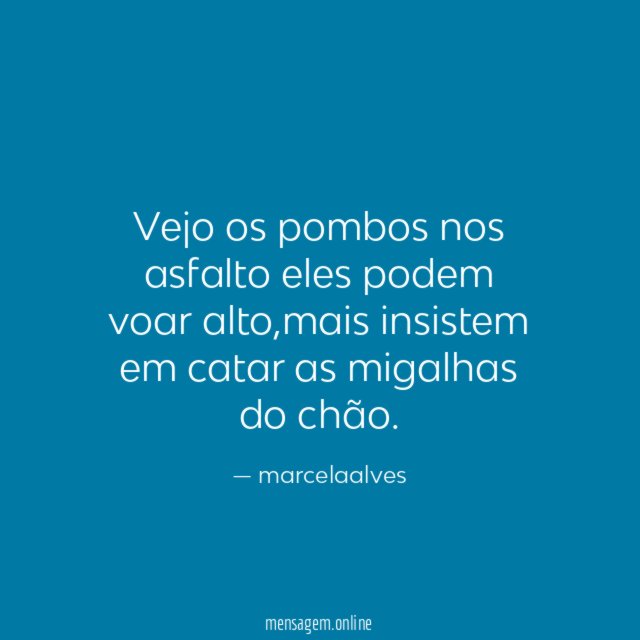 Vejo os pombos nos asfalto eles podem voar alto