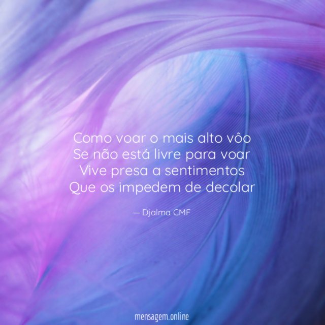 Como voar o mais alto vôo Se não está