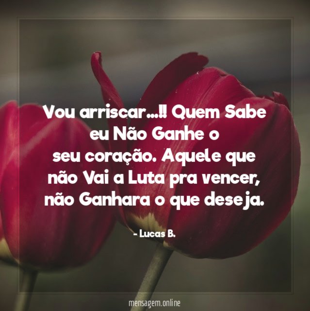 Vou arriscar