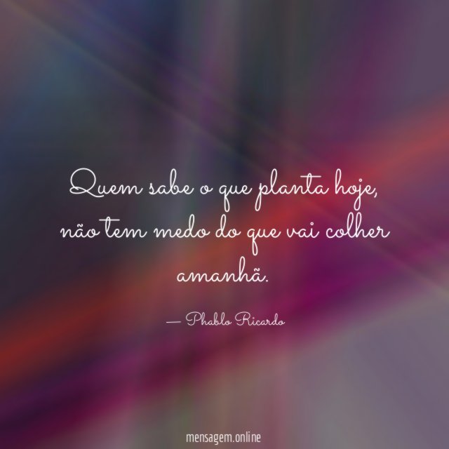 Quem sabe o que planta hoje