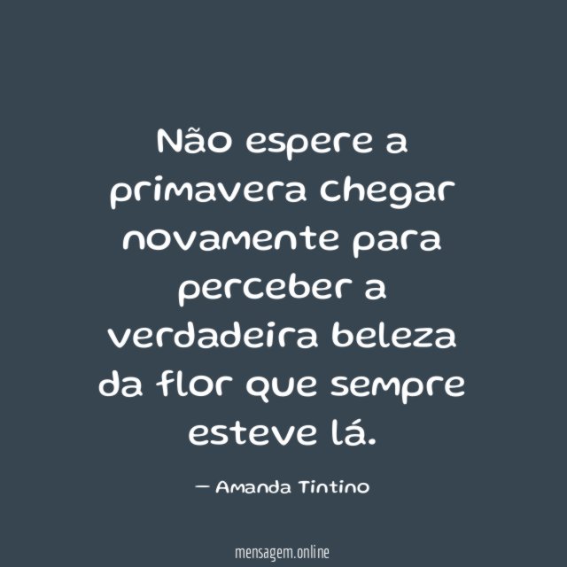 Não espere a primavera chegar novamente para perceber