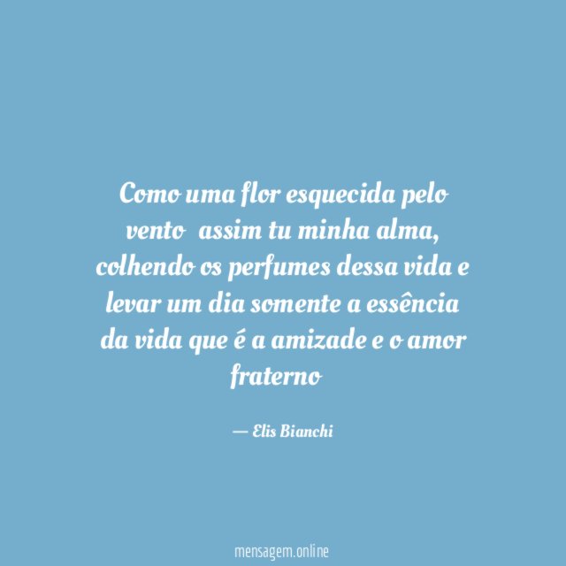 Como uma flor esquecida pelo vento