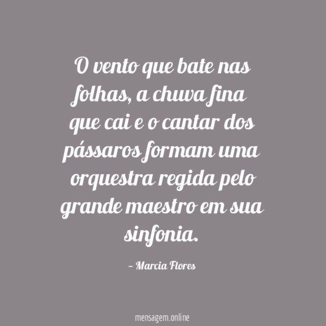 O vento que bate nas folhas