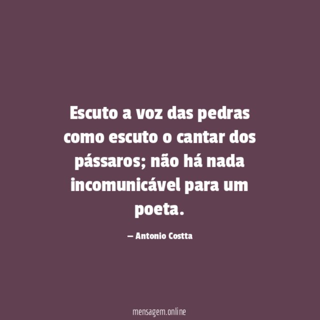 Escuto a voz das pedras como escuto o cantar dos pássaros