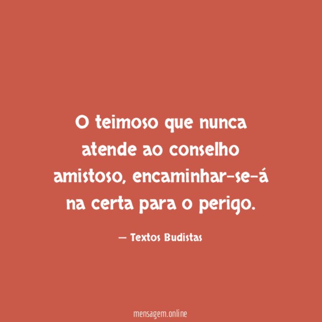 O teimoso que nunca atende ao conselho amistoso