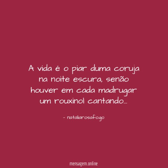 A vida é o piar duma coruja na noite escura