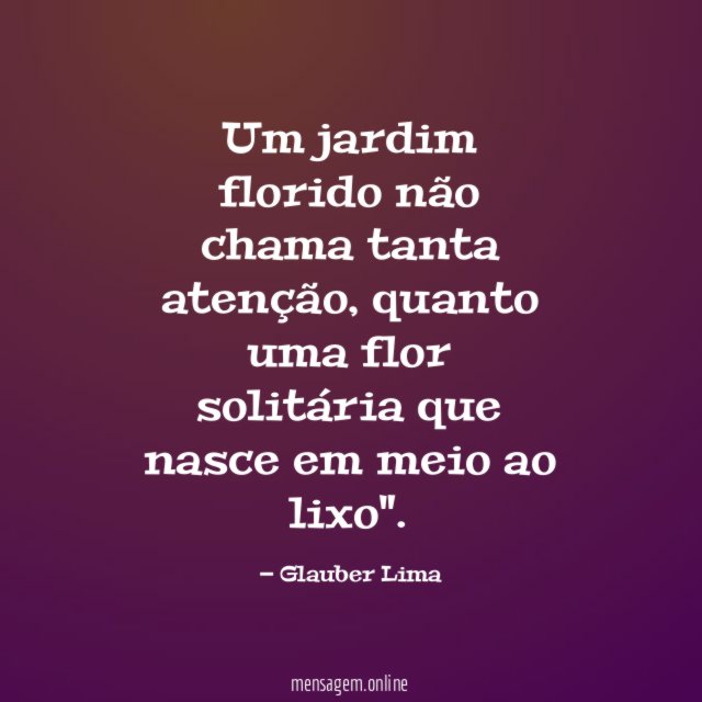 Um jardim florido não chama tanta atenção