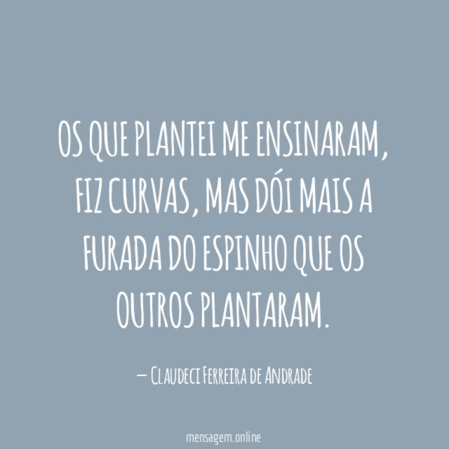OS QUE PLANTEI ME ENSINARAM