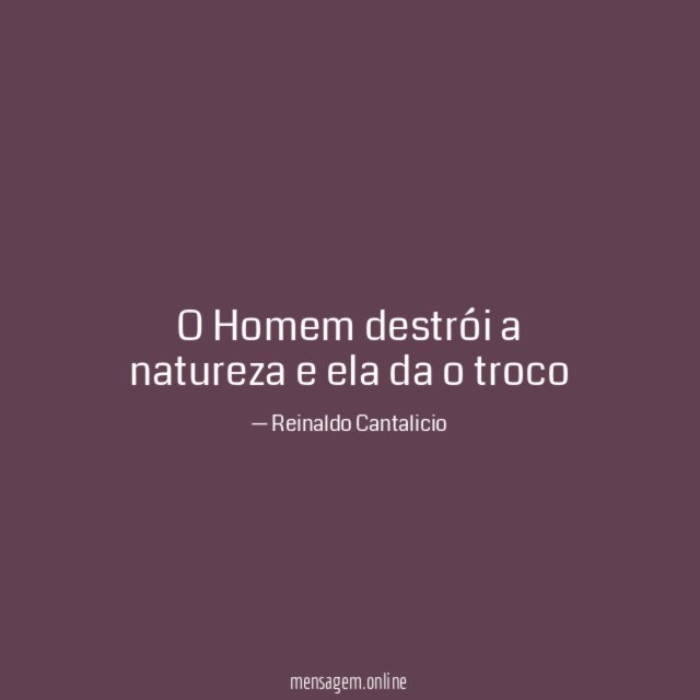 O Homem destrói a natureza e ela da o troco