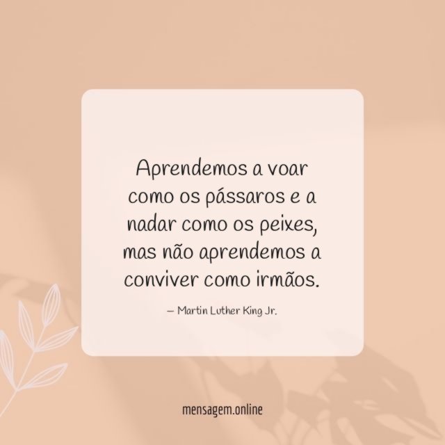 Aprendemos a voar como os pássaros e a