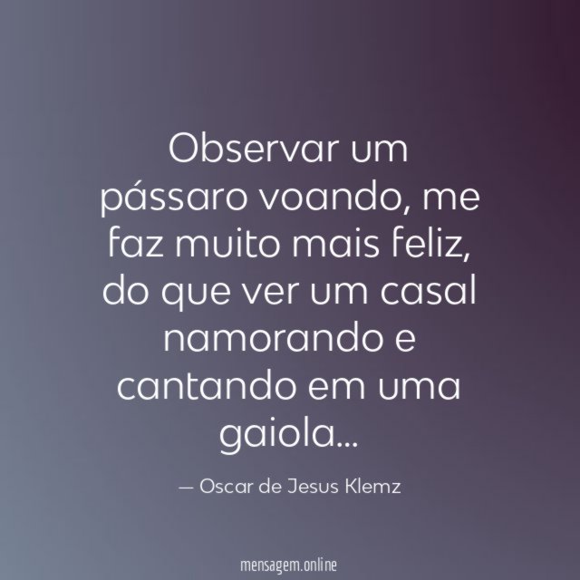 Observar um pássaro voando