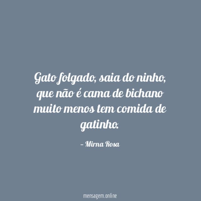 Gato folgado