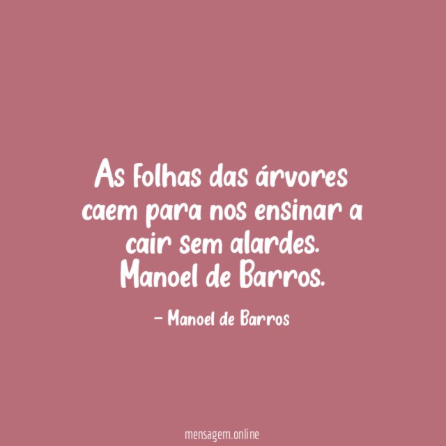 As folhas das árvores caem para nos ensinar a cair sem alardes