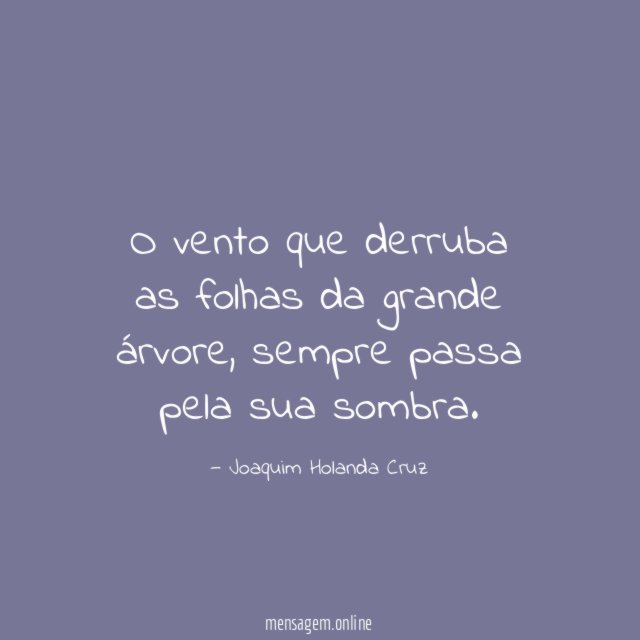 O vento que derruba as folhas da grande árvore