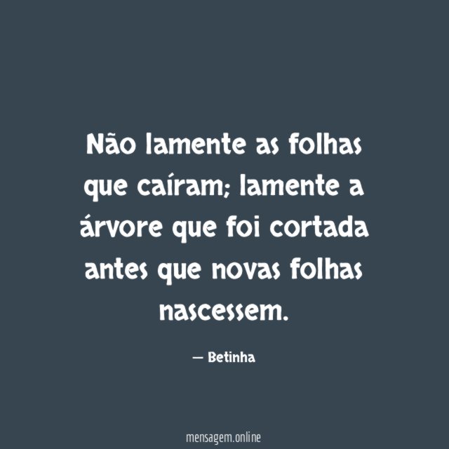 Não lamente as folhas que caíram