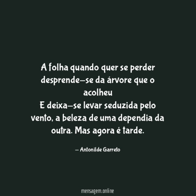 A folha quando quer se perder desprende-se da